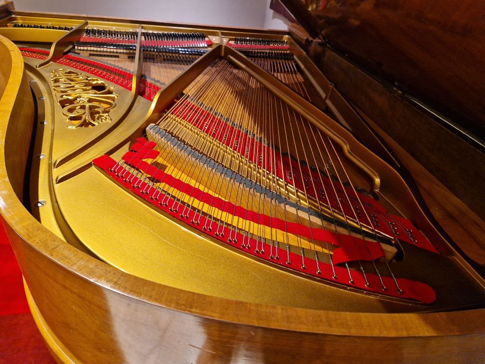 PIANO PLEYEL DEMI QUEUE ANCIEN RENOVE Instruments de musique