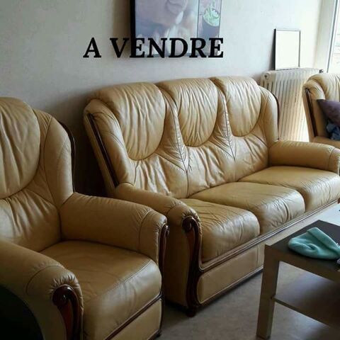vends canap et 2 fauteuils cuir
300 Saint-Herblain (44)