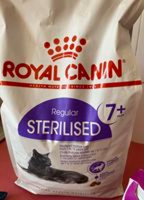   Lot entier neuf pour chats
