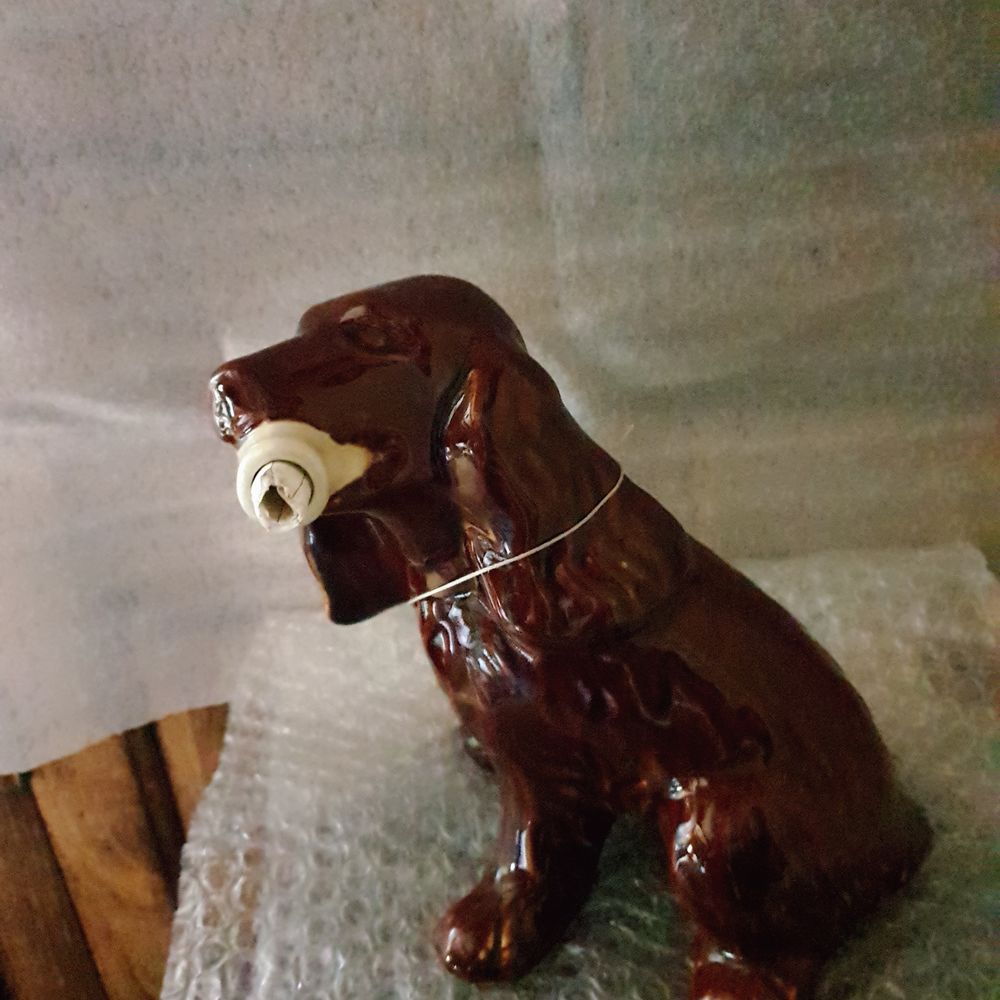 chien miniature collection 