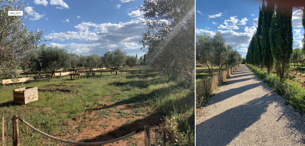 Vente Terrain Terrain de loisir 200m² ? Mudaison ? proche Montpellier ? ea Mudaison