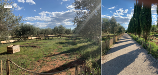  Terrain � vendre 200 m� Mudaison