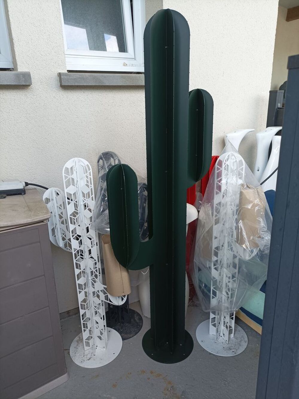 Cactus 1m70 vert suivant photos Décoration