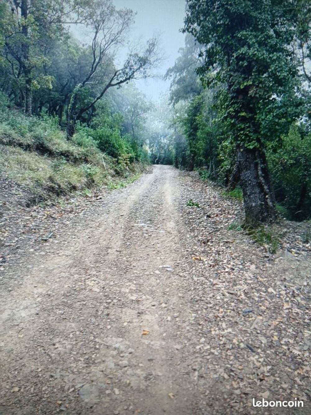 Vente Terrain Foret dans le Var a Pignans pour 1euro le m2 Pignans