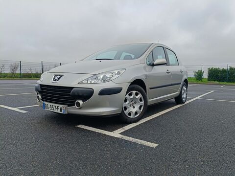 Peugeot 307 1.6e 16V Confort Pack 2007 occasion Roissy-en-France 95700