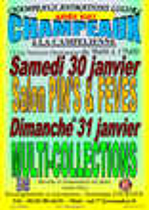Salon MULTICOLLECTIONS du 31-01-2027 &agrave; Champeaux (77) Bourse des collections