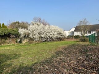  Terrain à vendre 530 m²