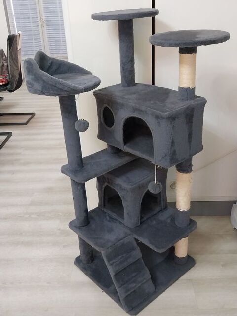 ARBRE A CHAT 
20 45640 Sandillon