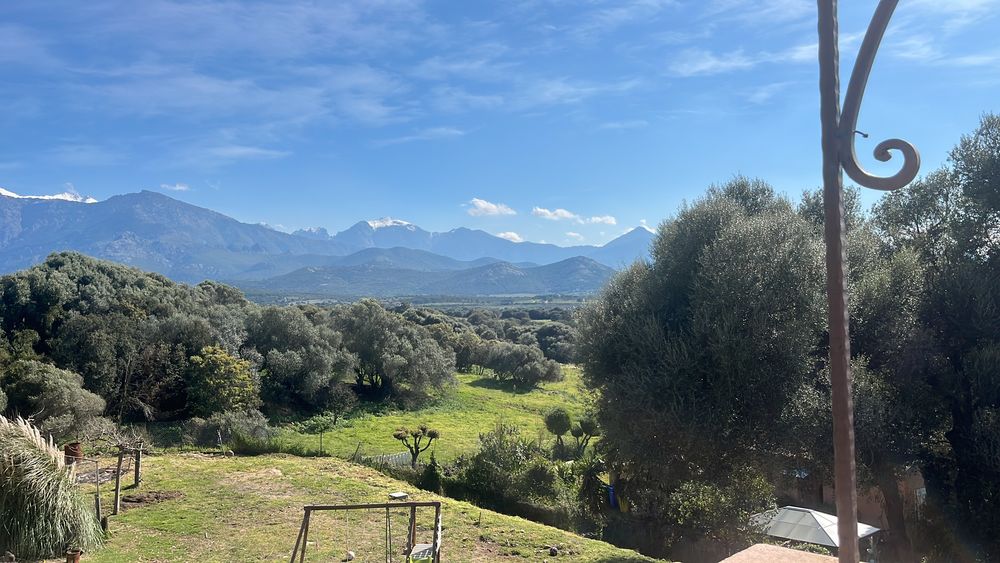 à vendre  Villa Lumio (20260)
