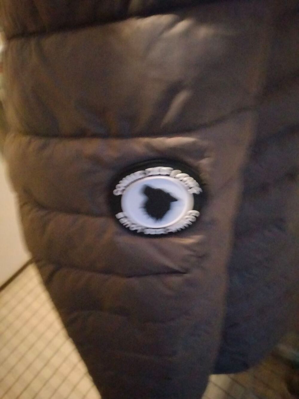 Manteau Femme Vêtements