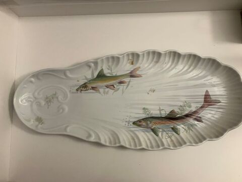 Grand plat � poisson 30 Vaucresson (92)