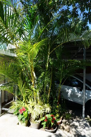  Maison � vendre 3 pi�ces 103 m�