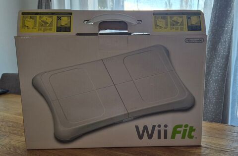 Wii fit & board Antony (92)