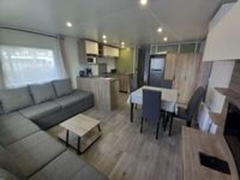  2024 occasion 40170 Saint-Julien-en-Born