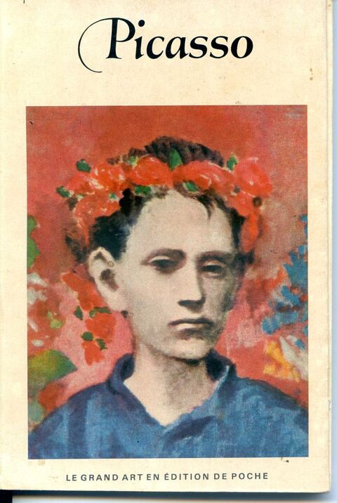 PICASSO 5 Rennes (35)