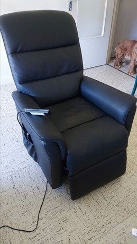 FAUTEUIL ELECTRIQUE CUIR NOIR AVEC TELECOMMANDE 150 Bourg-en-Bresse (01)