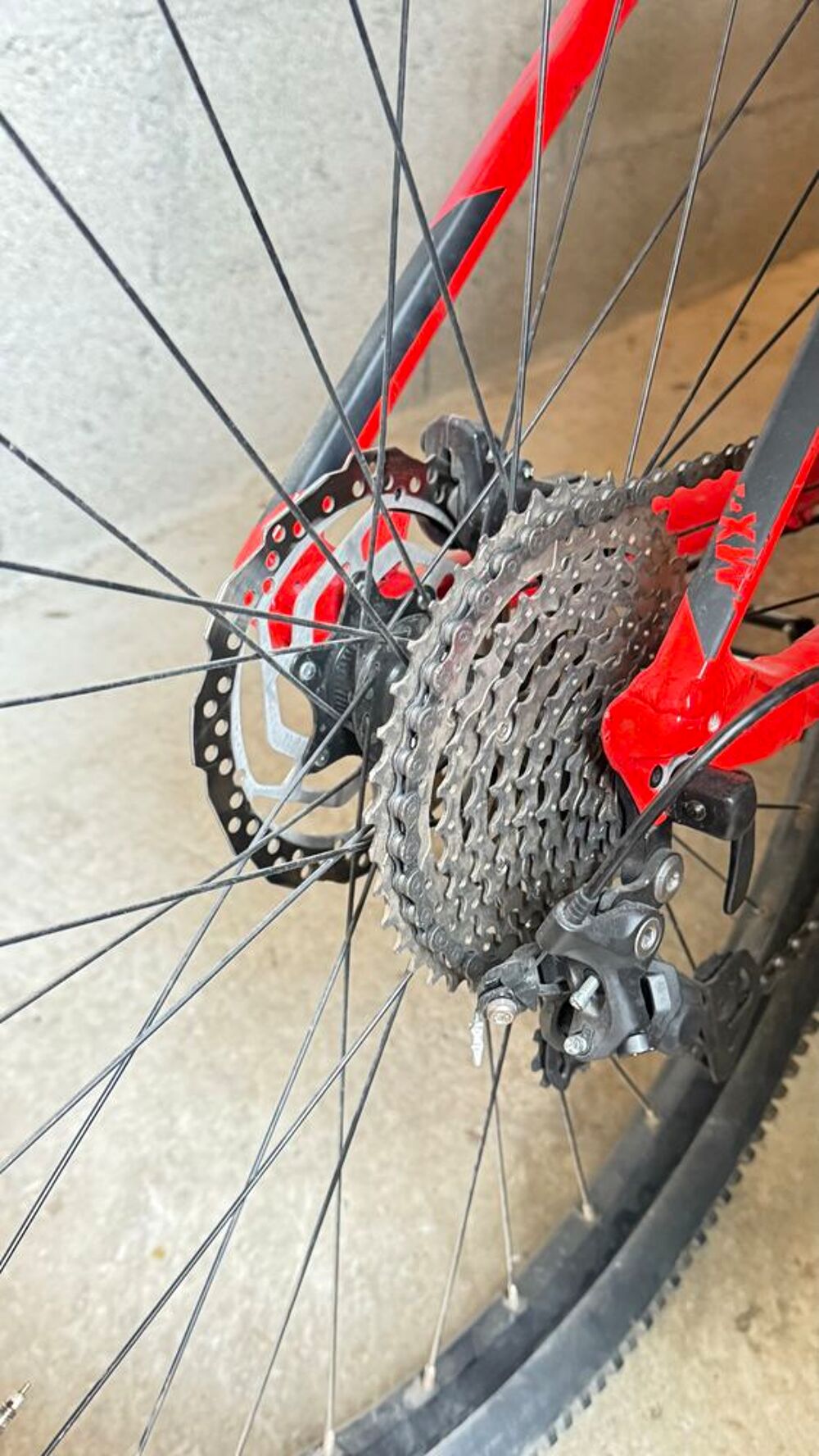 VTT orbea MX 29 rouge Vlos