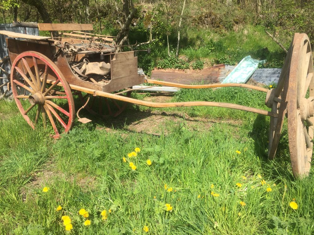 Cal&egrave;che Bricolage