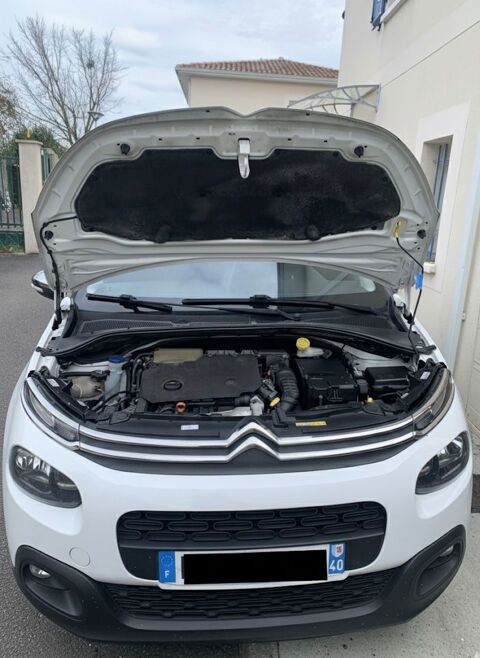 Citroen c3 Citroën  SOCIETE BLUEHDI 100 S&