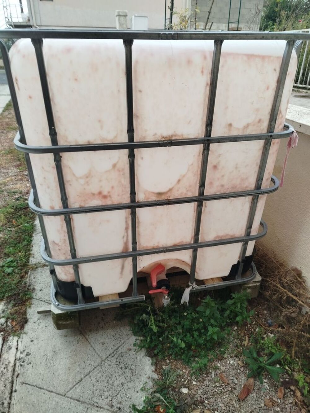 r&eacute;cup&eacute;rateur d'eau 1000 litres d'eau 1000 litres Jardin