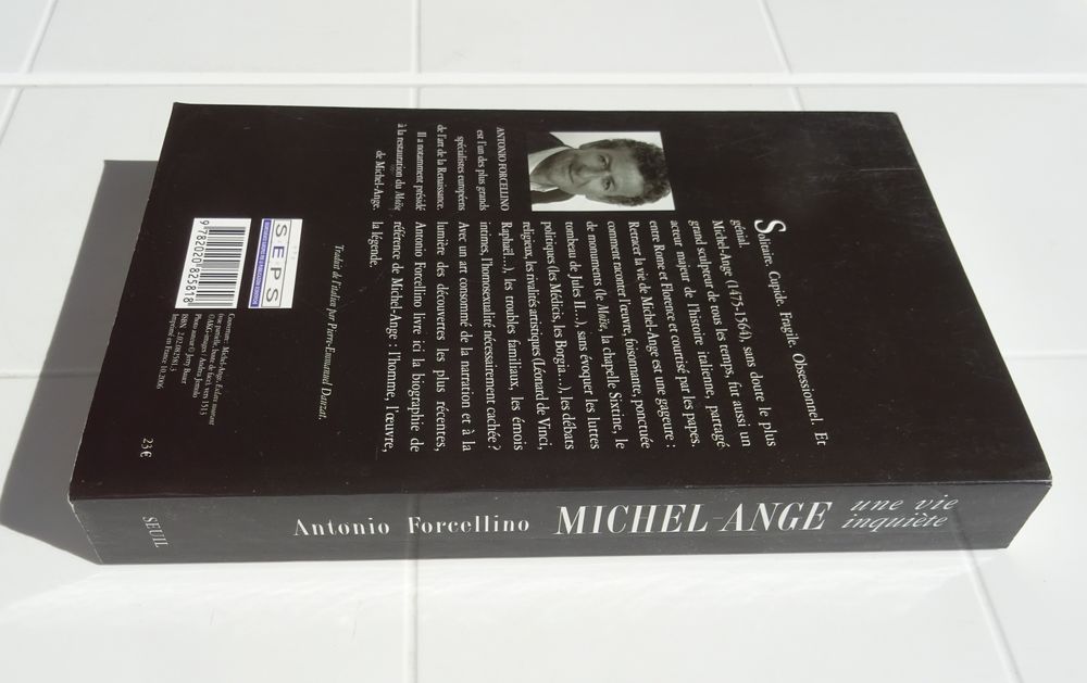MICHEL-ANGE : UNE VIE INQUI&Egrave;TE FORCELLINO Grand format 2006 Livres et BD