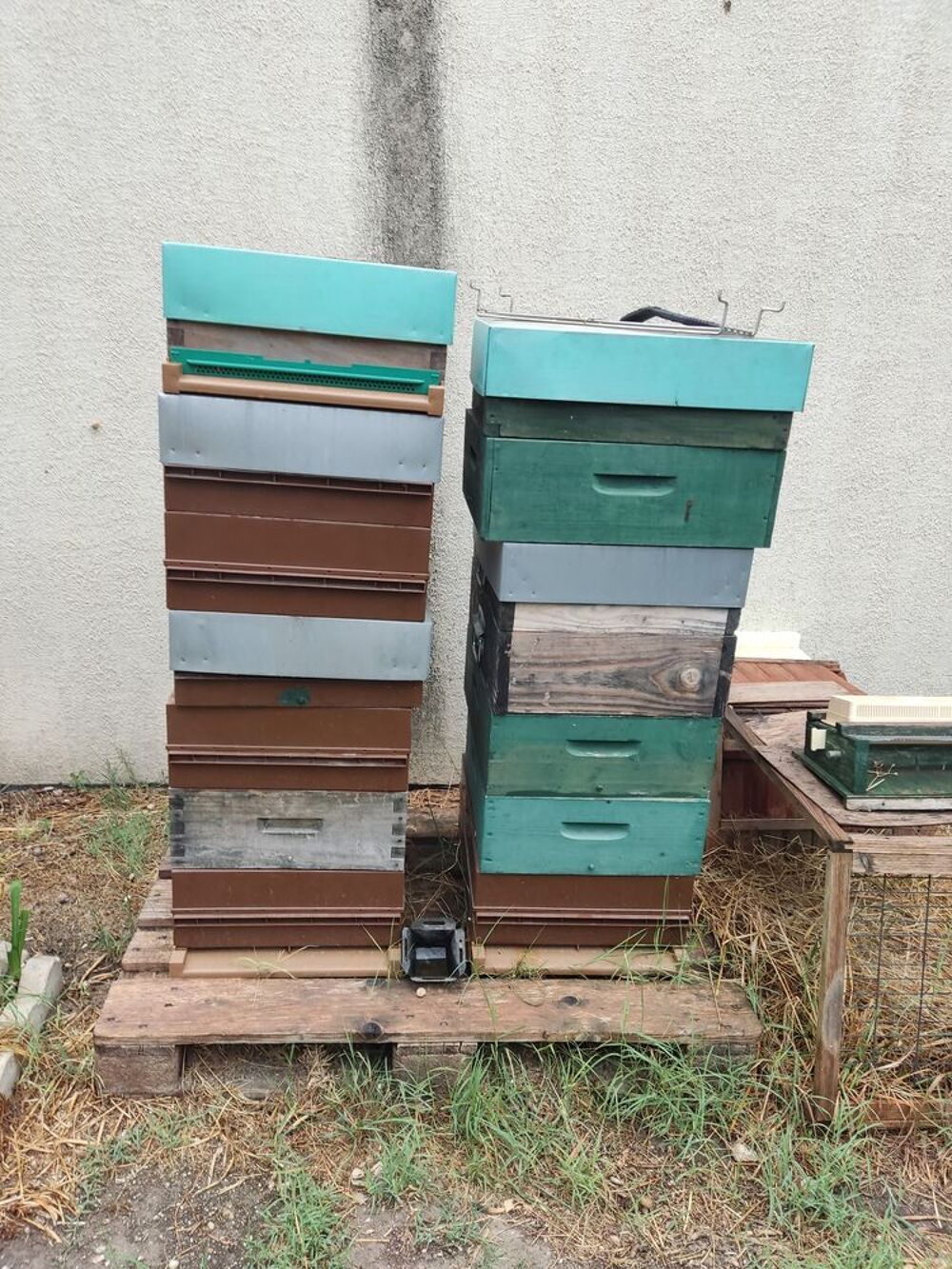Hausse d'occasion DADANT Bricolage