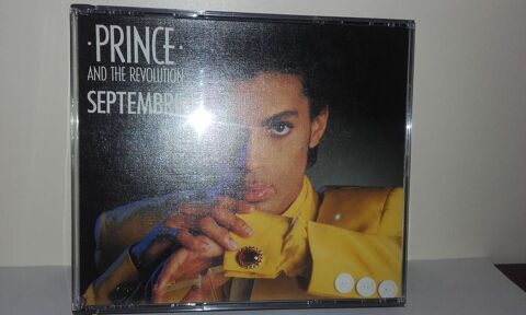 Prince and the Revolution : Septembre - Live Yokohama 1986 ( 40 Angers (49)