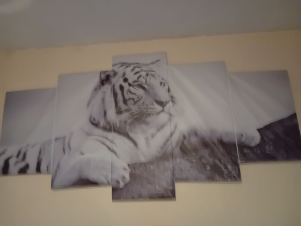 Tableau tigre Dcoration