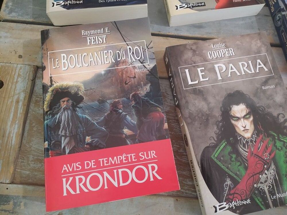 Lot Livres Romans Fantastiques Collection Bragelonne Livres et BD