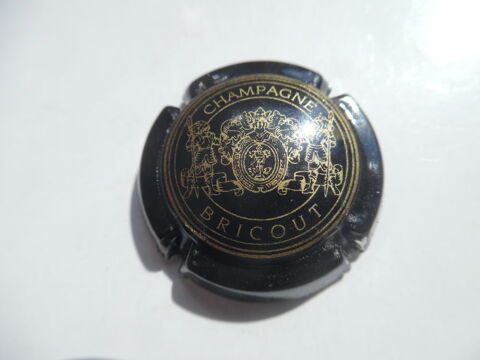 Champagne BRICOUT. 0.5 Plivot (51)