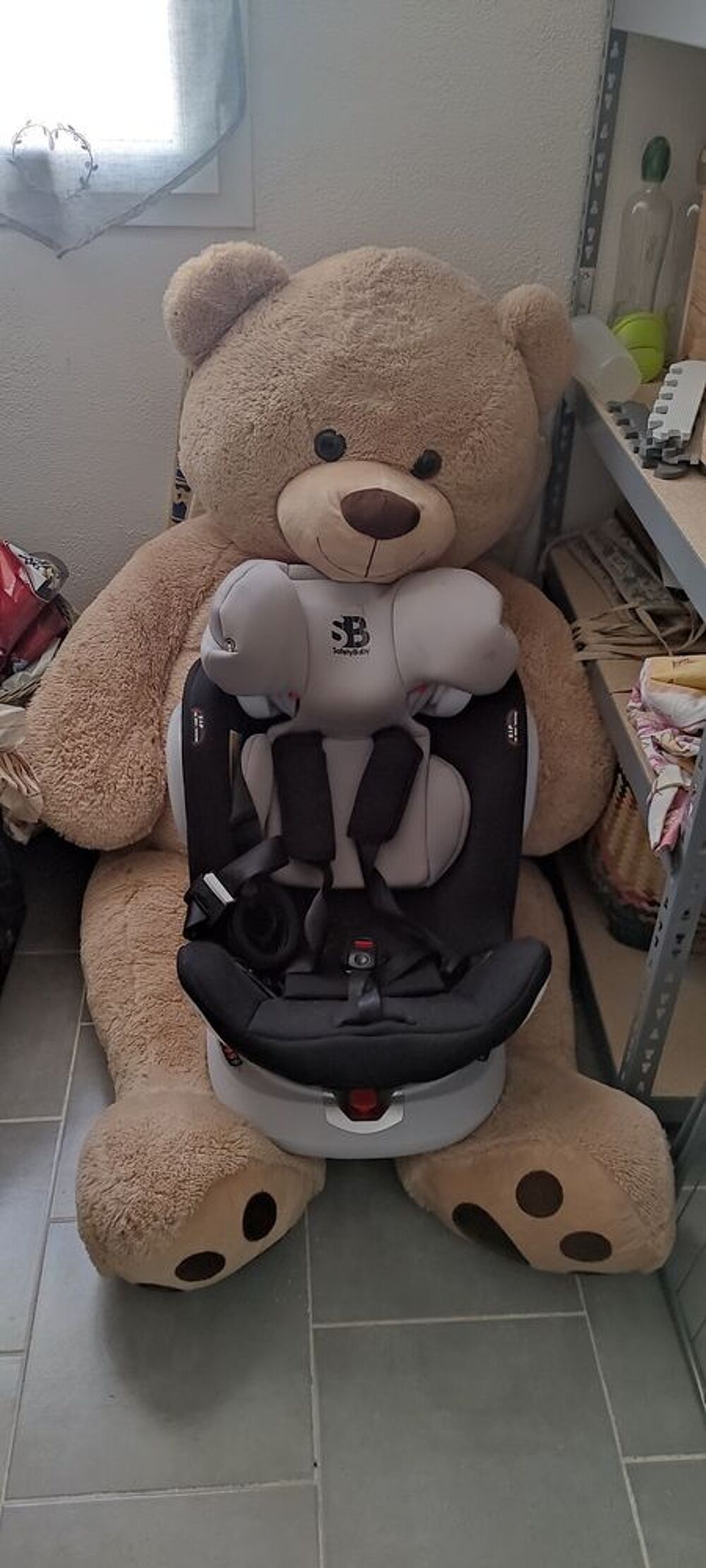 GROS OURS peluche 30€ Jeux / jouets