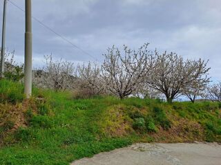  Villa � vendre 6 pi�ces 150 m� Patti, me, italia