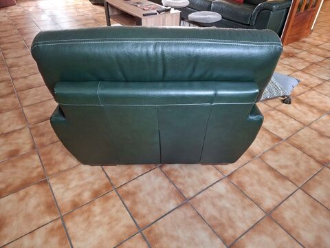 Fauteuil cuir buffle vert 20 Crépy-en-Valois (60)