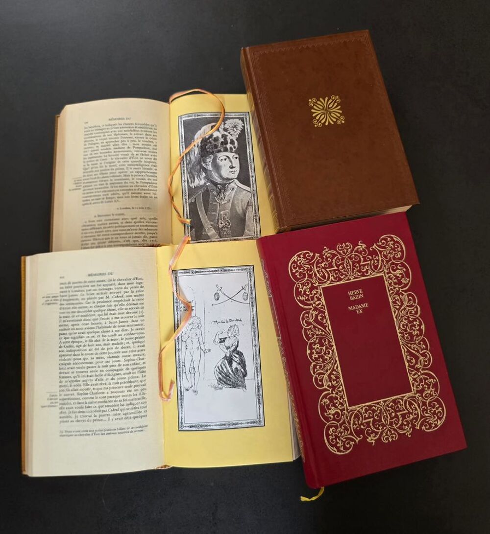 Lot 4 livres reli&eacute;s, neufs, romans historiques d'auteurs Livres et BD