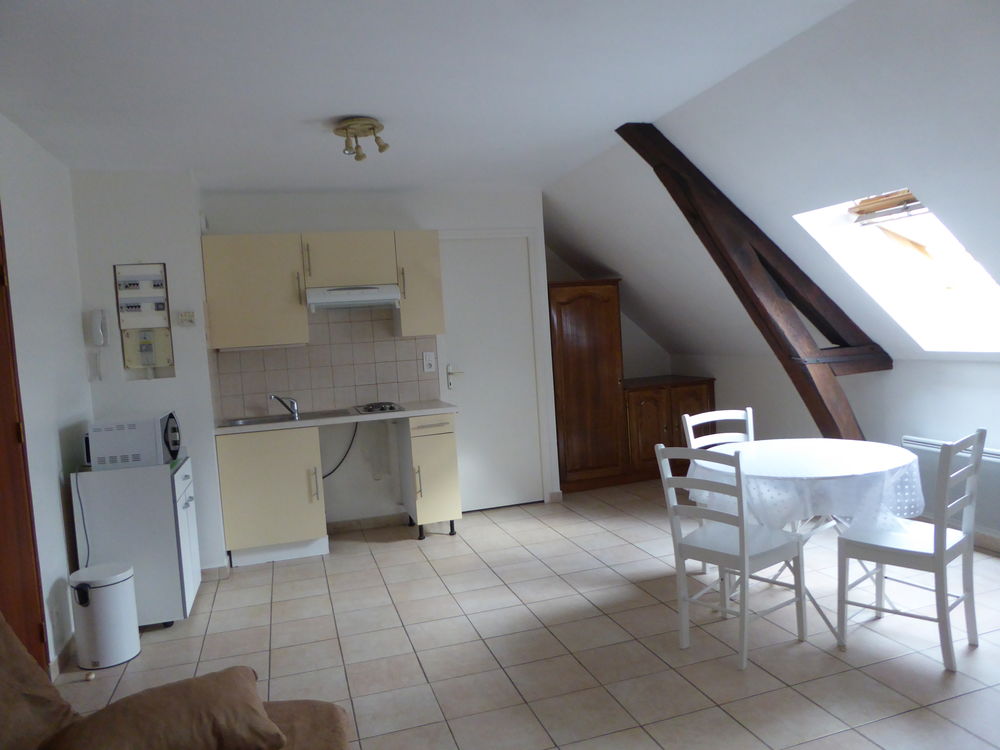 Location Appartement Grand studio meublé tout confort centre-viille Sens