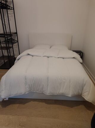  Appartement à louer 2 pièces 45 m²