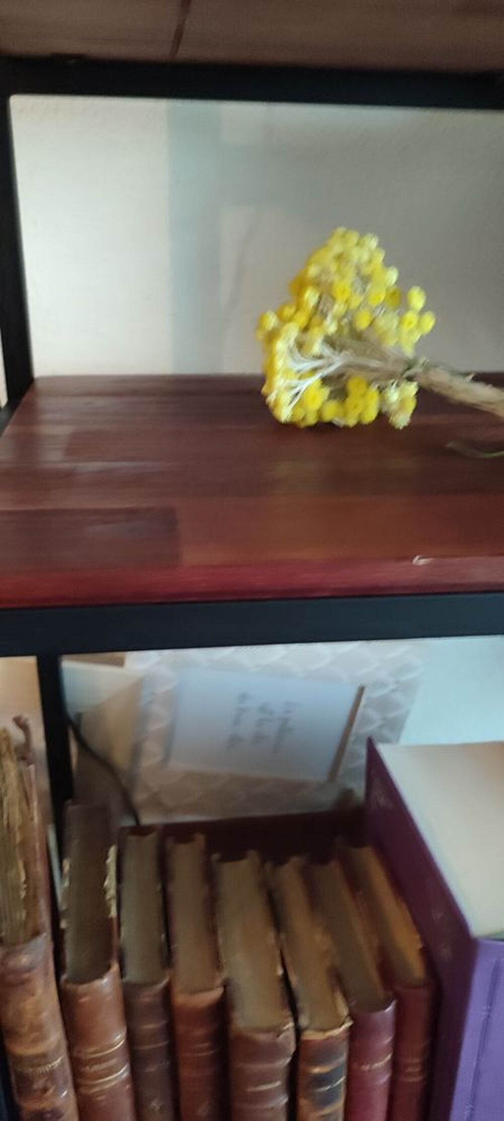 Bibliotheque bois acajou et m&eacute;tal noir Meubles