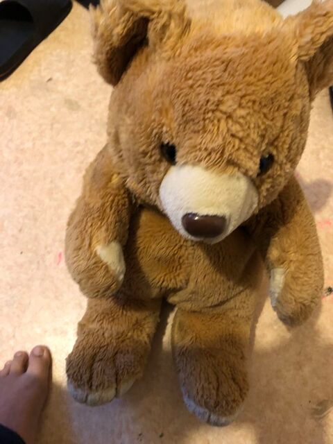 Nounours en peluche 5 Toulouse (31)