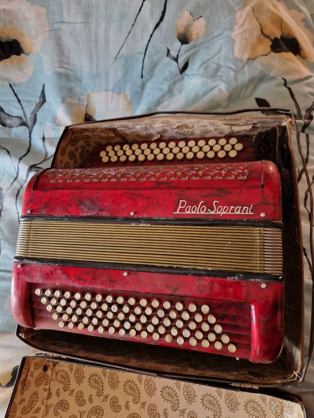 Accord&eacute;ons Instruments de musique