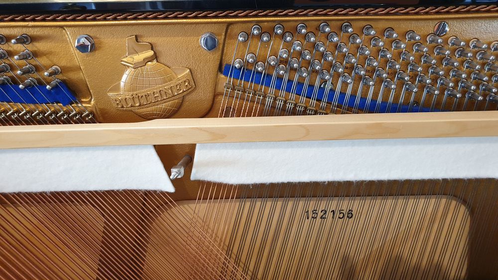 Bl&uuml;thner Mod&egrave;le A-124 Instruments de musique