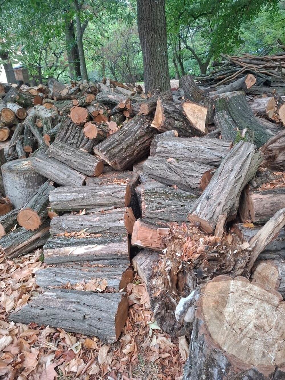 Bois de chauffage
Bricolage
