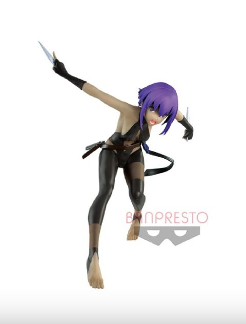 Figurine Fate Grand order Hassan of The serenity Servant Figure. 14 Le Plessis-Bouchard (95)