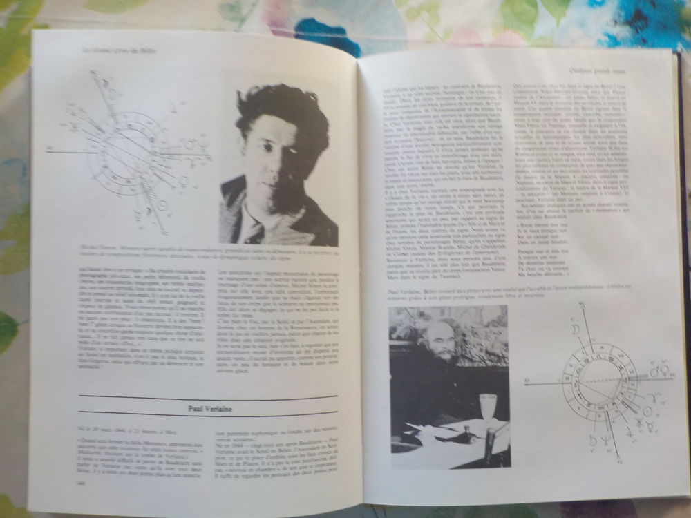 LE GRAND LIVRE DU BELIER par A. WALDSTEIN Ed. Tchou Livres et BD