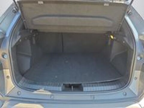 Duster Hybrid 140 Journey 2025 occasion 38140 Rives