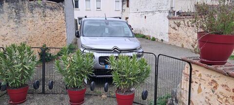 Citroën Berlingo Rip curl 2021 occasion Nogaro 32110