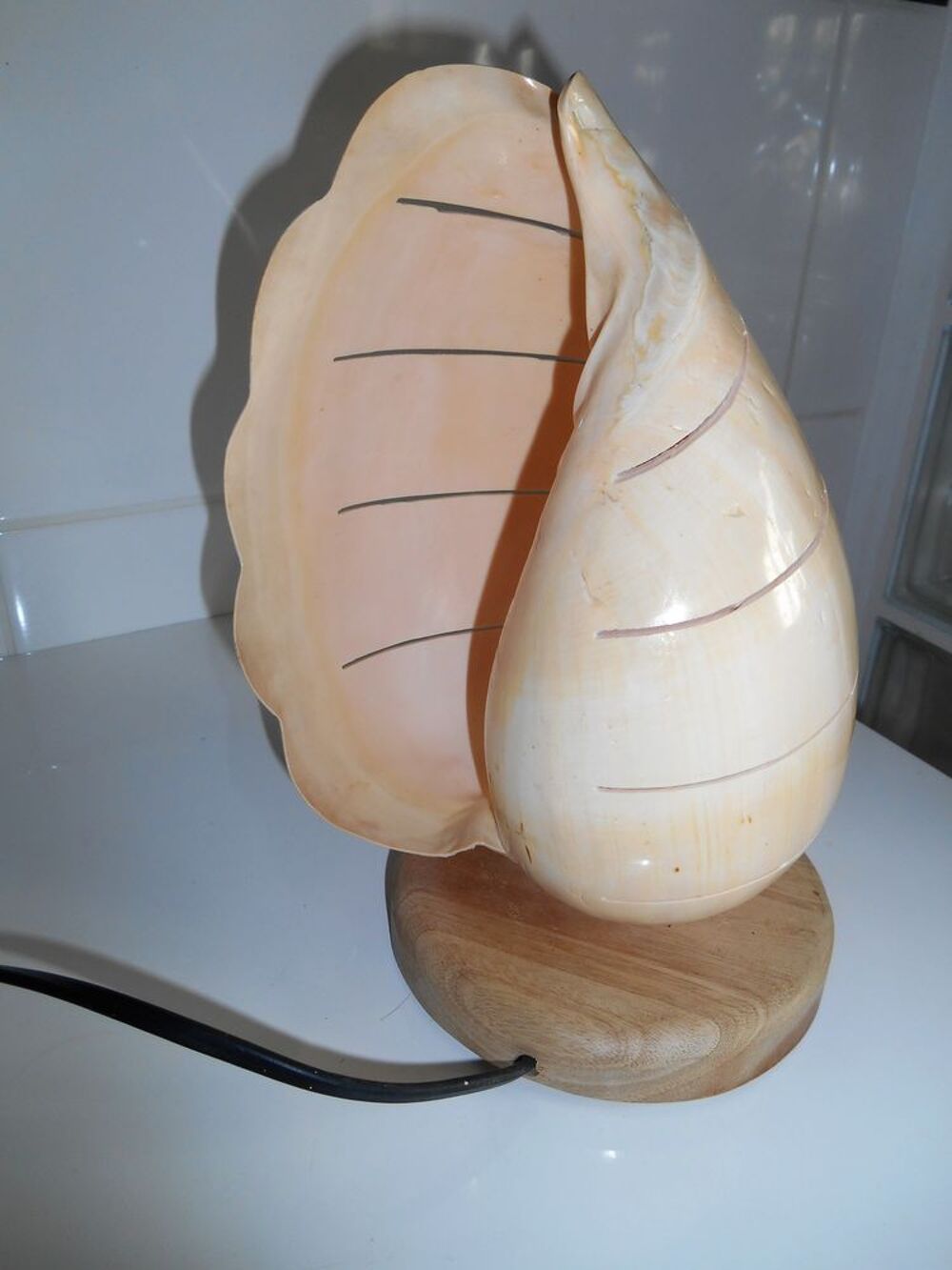 Sympathique lampe coquillage 