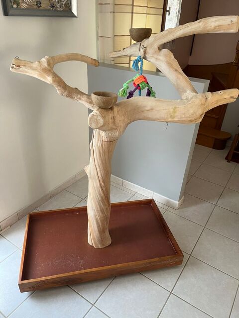 Arbre oiseaux 250 22120 Hillion