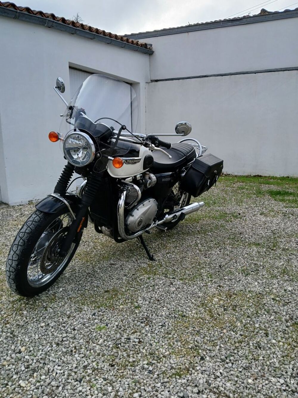 TRIUMPH 2017 occasion 17000 La Rochelle