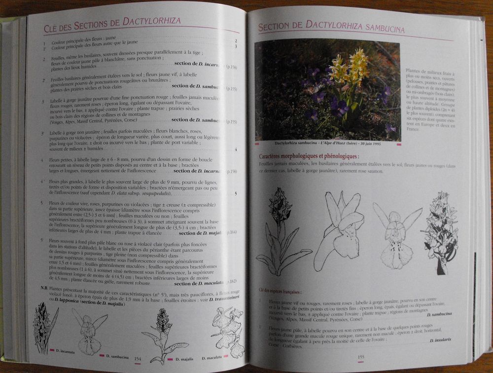 Les Orchid&eacute;es De France, Belgique Et Luxembourg Livres et BD
