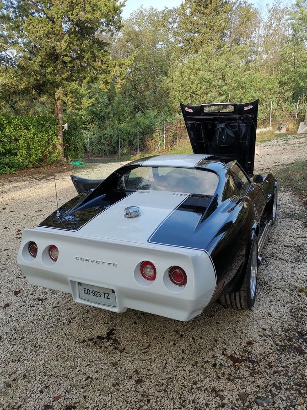  1974 occasion 83400 Hy&egrave;res